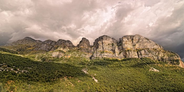 Βίτσα & Δραστηριότητες